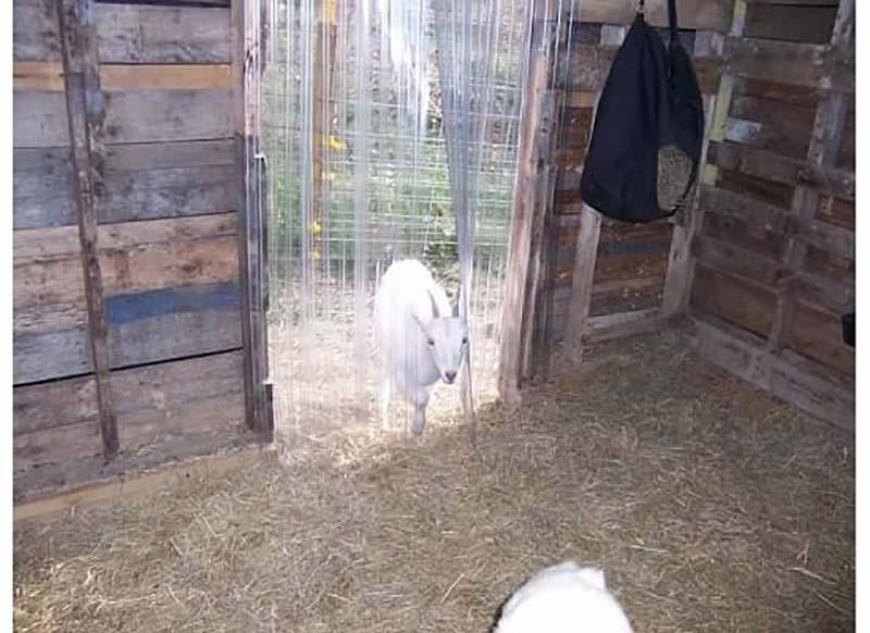 Barn Plastic Strip Door Curtain Flap Hi Quality Strip Door Kit